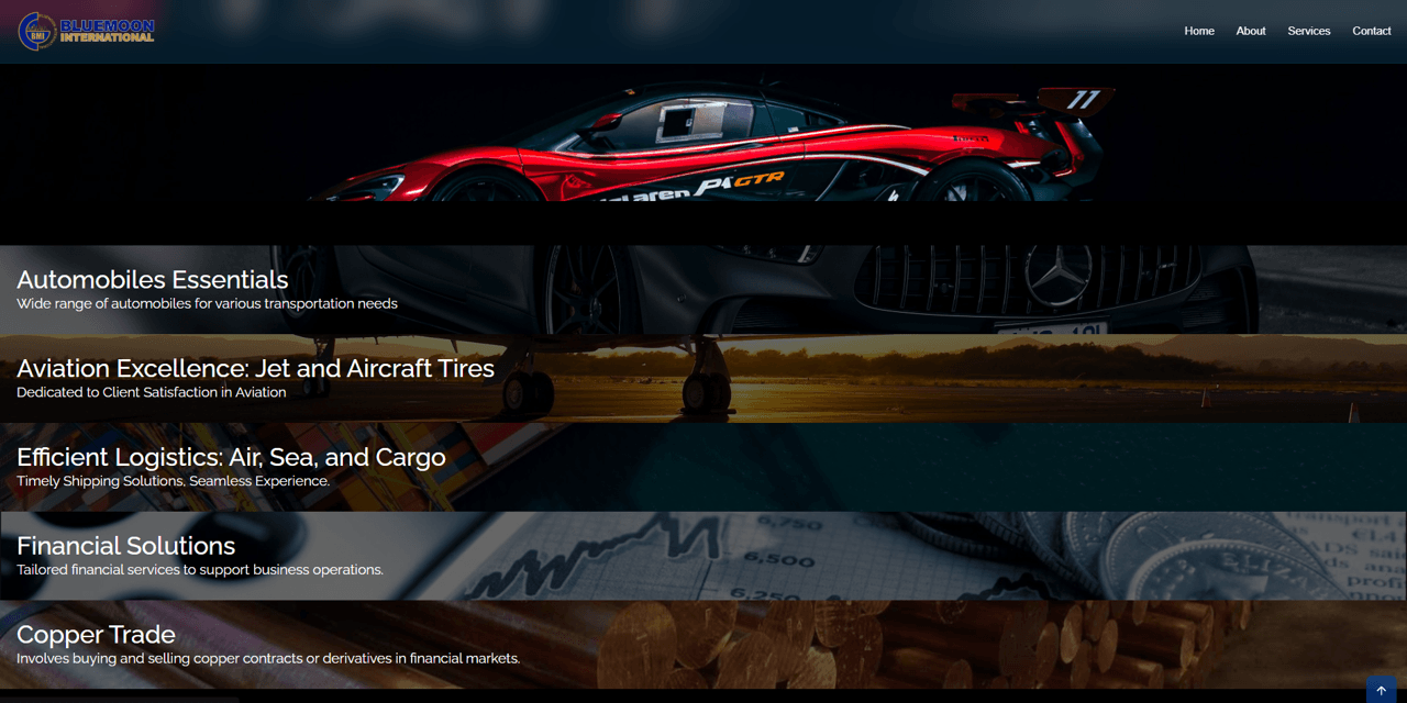 Bluemoon International website preview